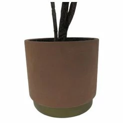 Sonoma Goods For Life® Oversized Potted Rubber Tree -Sonoma Goods For Life shop unnamed file 10421
