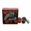 Sonoma Goods For Life® Frosted Pinecone Bulbs Vase Filler -Sonoma Goods For Life shop unnamed file 10585