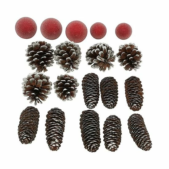Sonoma Goods For Life® Frosted Pinecone Bulbs Vase Filler 4 Sonoma Goods For Life® Frosted Pinecone Bulbs Vase Filler - Image 2