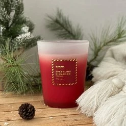 Sonoma Goods For Life® Sparkling Cinnamon 30-oz. Candle Jar -Sonoma Goods For Life shop unnamed file 10768