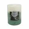 Sonoma Goods For Life® Eucalyptus & Mint Leaf 12.83-oz. Pillar Candle -Sonoma Goods For Life shop unnamed file 10771