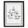 Sonoma Goods For Life® Botanical Shadowbox Framed Wall Art -Sonoma Goods For Life shop unnamed file 11046