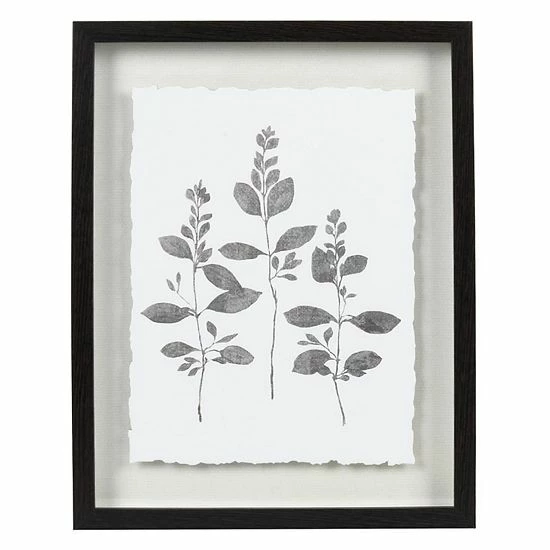 Sonoma Goods For Life® Botanical Shadowbox Framed Wall Art 3 Sonoma Goods For Life® Botanical Shadowbox Framed Wall Art