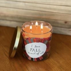 Sonoma Goods For Life® I Love Fall Scarf 13-oz 3-Wick Candle -Sonoma Goods For Life shop unnamed file 11080