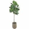 Sonoma Goods For Life® Artificial Fiddle Leaf Fig Floor Decor -Sonoma Goods For Life shop unnamed file 11440