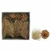 Sonoma Goods For Life® Glitter Artificial Cypress Pinecone Vase Fillers -Sonoma Goods For Life shop unnamed file 12062