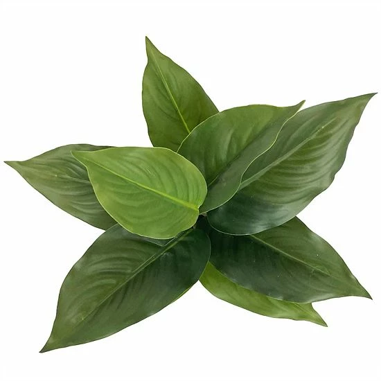 Sonoma Goods For Life® Artificial Leafy Plant Floor Decor 4 Sonoma Goods For Life® Artificial Leafy Plant Floor Decor - Image 2