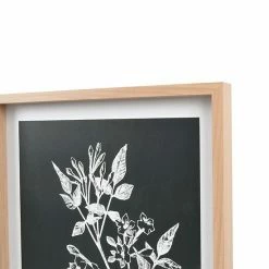 Sonoma Goods For Life® Printed Wood Frame Reverse Botanical Wall Decor -Sonoma Goods For Life shop unnamed file 12442