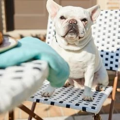 Sonoma Goods For Life® French Bistro Folding Chair -Sonoma Goods For Life shop unnamed file 12774