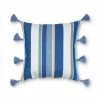 Sonoma Goods For Life® Woven Stripe Tassel Indoor Outdoor Throw Pillow 1 Sonoma Goods For Life® Woven Stripe Tassel Indoor Outdoor Throw Pillow -Sonoma Goods For Life shop unnamed file 12862