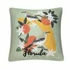Sonoma Goods For Life® Florida Feather Fill Throw Pillow -Sonoma Goods For Life shop unnamed file 12955