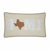 Sonoma Goods For Life® Texas Home Feather Fill Throw Pillow -Sonoma Goods For Life shop unnamed file 13069
