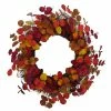 Sonoma Goods For Life® Colorful Artificial Eucalyptus Wreath -Sonoma Goods For Life shop unnamed file 14213