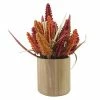 Sonoma Goods For Life® Faux Tricolor Wood Potted Arrangement 1 Sonoma Goods For Life® Faux Tricolor Wood Potted Arrangement -Sonoma Goods For Life shop unnamed file 14525