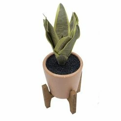Sonoma Goods For Life® Artificial Snake Plant Floor Decor 7 Sonoma Goods For Life® Artificial Snake Plant Floor Decor -Sonoma Goods For Life shop unnamed file 14784