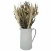 Sonoma Goods For Life® Dried Grass Table Decor 2 Sonoma Goods For Life® Dried Grass Table Decor -Sonoma Goods For Life shop unnamed file 14966