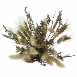 Sonoma Goods For Life® Dried Grass Table Decor -Sonoma Goods For Life shop unnamed file 14968