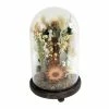 Sonoma Goods For Life® Dried Flowers Cloche Table Decor -Sonoma Goods For Life shop unnamed file 15117