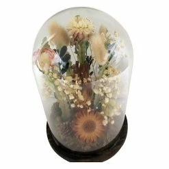 Sonoma Goods For Life® Dried Flowers Cloche Table Decor -Sonoma Goods For Life shop unnamed file 15120