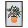 Sonoma Goods For Life® Plant Framed Wall Art -Sonoma Goods For Life shop unnamed file 15296
