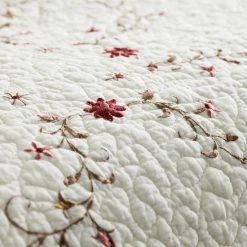 Sonoma Goods For Life® Embroidered Bedspread Or Sham Elizabeth -Sonoma Goods For Life shop unnamed file 2216
