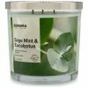 Sonoma Goods For Life® Sage Mint & Eucalyptus 14-oz. Candle Jar