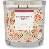 Sonoma Goods For Life® Peppermint Bark 14-oz. Candle Jar -Sonoma Goods For Life shop unnamed file 4048