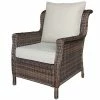Sonoma Goods For Life® Cortena Wicker Lounge Arm Chair Brown -Sonoma Goods For Life shop unnamed file 4705