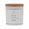 Sonoma Goods For Life® Spa Joy 3-Wick Candle Jar -Sonoma Goods For Life shop unnamed file 4735