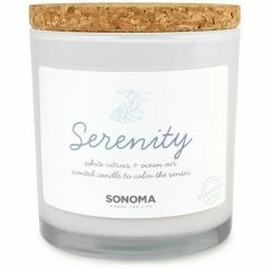 Sonoma Goods For Life® 13-oz. Serenity White Citrus & Ocean Air 3-Wick Jar Candle -Sonoma Goods For Life shop unnamed file 5068