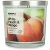 Sonoma Goods For Life® White Peach & Mango 14-oz. 3-Wick Candle Jar 1 Sonoma Goods For Life® White Peach & Mango 14-oz. 3-Wick Candle Jar -Sonoma Goods For Life shop unnamed file 5098