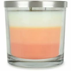 Sonoma Goods For Life® White Peach & Mango 14-oz. 3-Wick Candle Jar -Sonoma Goods For Life shop unnamed file 5102