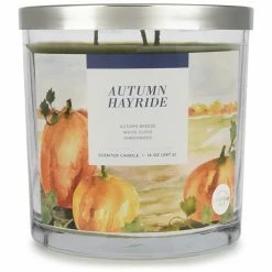 Sonoma Goods For Life® Autumn Hayride 14-oz. Candle Jar