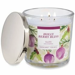 Sonoma Goods For Life® Holly Berry Bliss 14-oz. Candle Jar 8 Sonoma Goods For Life® Holly Berry Bliss 14-oz. Candle Jar -Sonoma Goods For Life shop unnamed file 5822