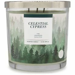Sonoma Goods For Life® Celestial Cypress 14-oz. Candle Jar