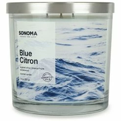 Sonoma Goods For Life® Blue Citron 14oz 3-Wick Candle Jar