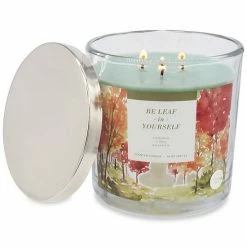 Sonoma Goods For Life® Be Leaf In Yourself 14-oz. Candle Jar -Sonoma Goods For Life shop unnamed file 8005