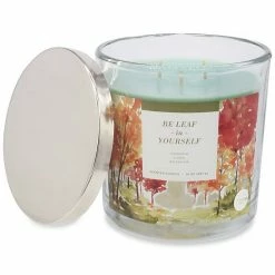 Sonoma Goods For Life® Be Leaf In Yourself 14-oz. Candle Jar -Sonoma Goods For Life shop unnamed file 8006