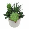 Sonoma Goods For Life® Faux Succulents & Pot -Sonoma Goods For Life shop unnamed file 8390