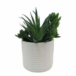 Sonoma Goods For Life® Faux Succulents & Pot -Sonoma Goods For Life shop unnamed file 8391