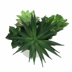 Sonoma Goods For Life® Faux Succulents & Pot -Sonoma Goods For Life shop unnamed file 8392