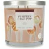 Sonoma Goods For Life® Pumpkin Cake Pop 14-oz. Candle Jar -Sonoma Goods For Life shop unnamed file 8675