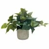 Sonoma Goods For Life® Artificial Trailing Ivy Plant Table Decor -Sonoma Goods For Life shop unnamed file 9293