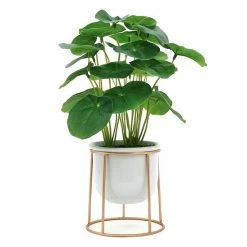 Sonoma Goods For Life® Friendship Plant & Ceramic Pot With Gold Metal Stand -Sonoma Goods For Life shop unnamed file 9296