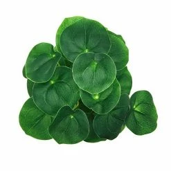 Sonoma Goods For Life® Friendship Plant & Ceramic Pot With Gold Metal Stand -Sonoma Goods For Life shop unnamed file 9297