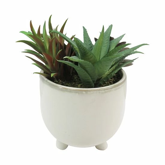 Sonoma Goods For Life® Faux Succulents In Ceramic Glazed Pot 3 Sonoma Goods For Life® Faux Succulents In Ceramic Glazed Pot