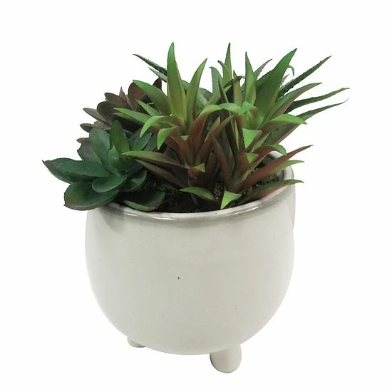 Sonoma Goods For Life® Faux Succulents In Ceramic Glazed Pot 4 Sonoma Goods For Life® Faux Succulents In Ceramic Glazed Pot - Image 2