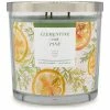 Sonoma Goods For Life® Clementine & Pine 14-oz. Candle Jar -Sonoma Goods For Life shop unnamed file 9388