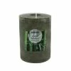 Sonoma Goods For Life® Fresh Bamboo 4" X 3" Pillar Candle -Sonoma Goods For Life shop unnamed file 9804
