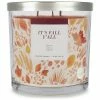 Sonoma Goods For Life® It's Fall Y'all 14-oz. Candle Jar -Sonoma Goods For Life shop unnamed file 9834